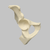 Hemi Pelvis with Vise Attachment on Ischium, Foam Cortical, Right Hemi Pelvis with Vise Attachment on Ischium, Foam Cortical, Right