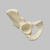 Hemi Pelvis, Female, Solid Foam, Right Hemi Pelvis, Female, Solid Foam, Right