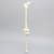 Knee with Revision Cuts and Non-Stretch Collateral Ligaments, Full Length Knee with Revision Cuts and Non-Stretch Collateral Ligaments, Full Length