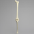 Knee with Three Stretch Tube Ligaments, Solid Foam, Full Length Knee with Three Stretch Tube Ligaments, Solid Foam, Full Length