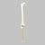 Knee with Four Stretch Tube Ligaments, Solid Foam, Full Length Knee with Four Stretch Tube Ligaments, Solid Foam, Full Length