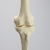 Knee Replacement for Hip Assembly #1301-160 Knee Replacement for Hip Assembly #1301-160