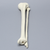 Tibia and Fibula, Solid Foam, Medium Tibia and Fibula, Solid Foam, Medium