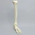 Foot and Ankle, Foam Cortical, Left Foot and Ankle, Foam Cortical, Left