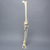 Full Leg with Femoral "Y" and Tibial Oblique Fractures Full Leg with Femoral "Y" and Tibial Oblique Fractures
