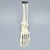 Foot and Ankle with Malleolar Fractures Foot and Ankle with Malleolar Fractures