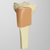Tibia with Skin Patch, Proximal Tibia with Skin Patch, Proximal