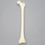 Femur, 14 mm, Trochanteric Entry Site, Foam Cortical Femur, 14 mm, Trochanteric Entry Site, Foam Cortical