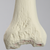 Femur with Revision Cuts, Foam Cortical, Left Femur with Revision Cuts, Foam Cortical, Left