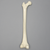 Femur, 11 mm Canal, Foam Cortical, Left, Medium Femur, 11 mm Canal, Foam Cortical, Left, Medium