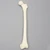 Femur, 9.5 mm Canal, Solid Foam, Left, Small Femur, 9.5 mm Canal, Solid Foam, Left, Small