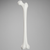 Femur with 15.5 mm Canal, Plastic Cortical Shell, Medium Femur with 15.5 mm Canal, Plastic Cortical Shell, Medium