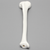 Tibia, Plastic Cortical Shell with 12 mm Canal, Right Tibia, Plastic Cortical Shell with 12 mm Canal, Right