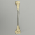 Humerus, Transparent Cortical, Pediatric Humerus, Transparent Cortical, Pediatric