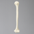 Humerus with 11mm Canal, Foam Cortical Humerus with 11mm Canal, Foam Cortical
