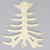 Sternum with Cartilage, Solid Foam Sternum with Cartilage, Solid Foam
