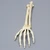 Hand and Wrist with Transverse Radial Fracture, Solid Foam Hand and Wrist with Transverse Radial Fracture, Solid Foam