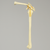 Shoulder, Articulated, Foam Cortical, Left Shoulder, Articulated, Foam Cortical, Left