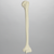 Humerus, Solid Foam, Left Humerus, Solid Foam, Left