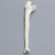 Ulna, 5mm Canal, Solid Foam, Right Ulna, 5mm Canal, Solid Foam, Right