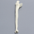 Ulna, 5mm Canal, Solid Foam, Right Ulna, 5mm Canal, Solid Foam, Right