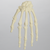 Hand, Solid Foam, Left, Large