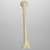 Humerus, Foam Cortical Shell, Left, Medium Humerus, Foam Cortical Shell, Left, Medium