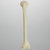 Humerus, Foam Cortical Shell, Left, Medium