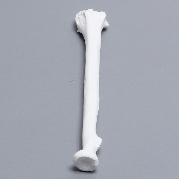 Radius, Solid White Plastic, Right