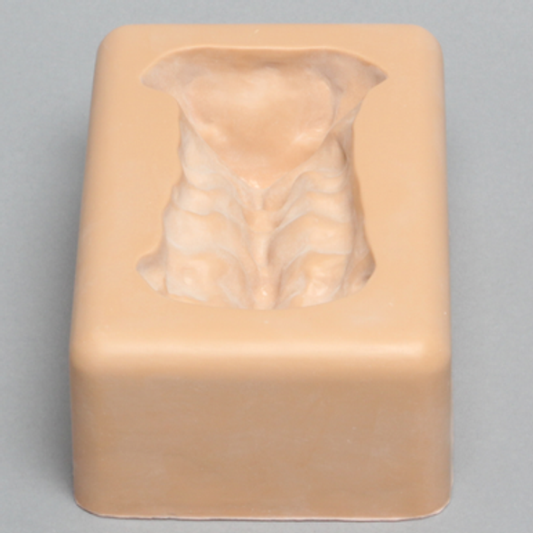 Spine Holder, Anterior C1-C7