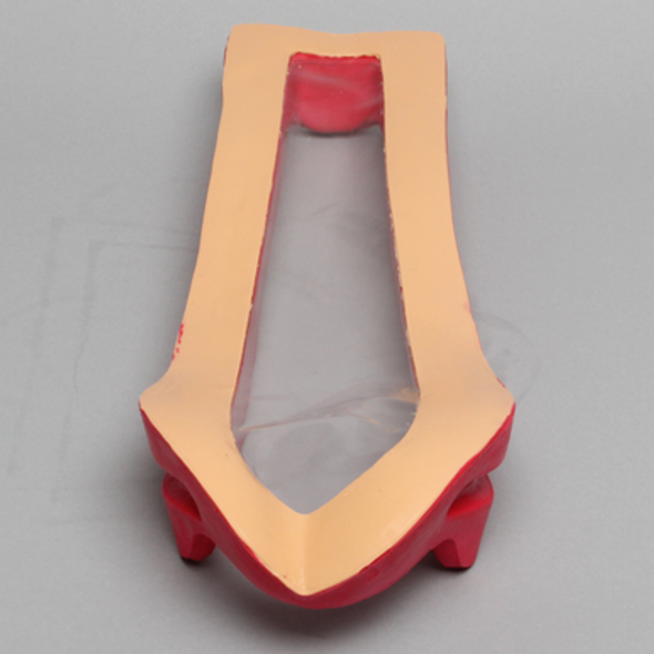 Clear Cover for Vertebroplasty Trunk #1513-19.