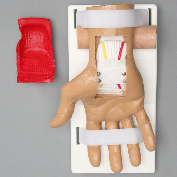 Hand and Wrist for Carpal Tunnel Training