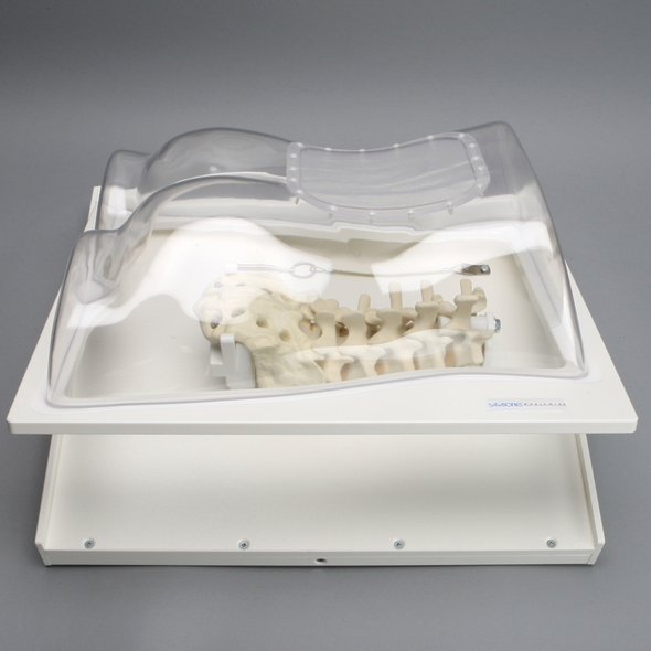 Lumbar Holder, L1-Sacrum, Clear Shell Torso