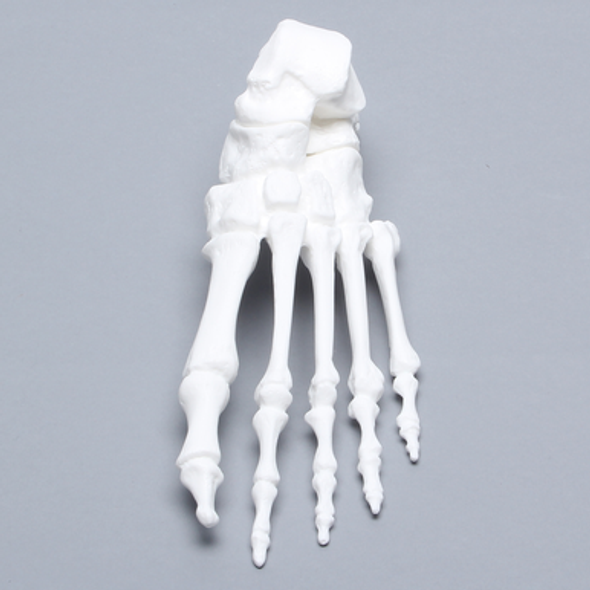 Foot, Solid White Plastic, Left
