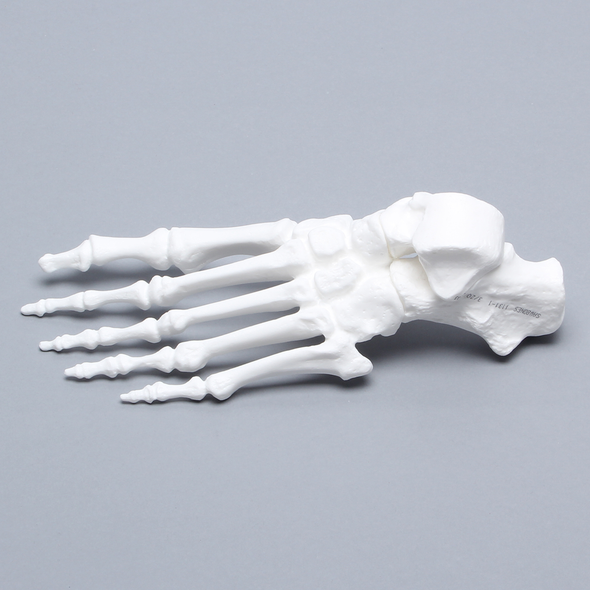 Foot, Solid White Plastic, Left