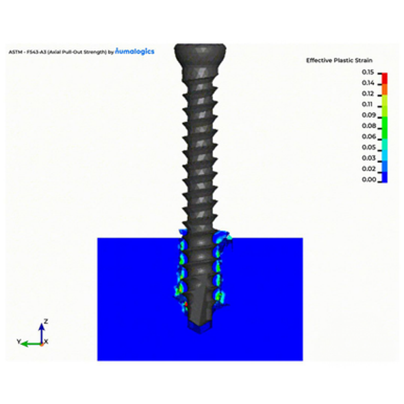 ENDPOINT Virtual Mechanical Test, Grade 10 Axial Pullout Strength