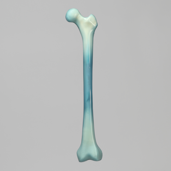 Femur, absolute™ Osteo, 10 PCF Solid Foam with 18 mm Canal, Large