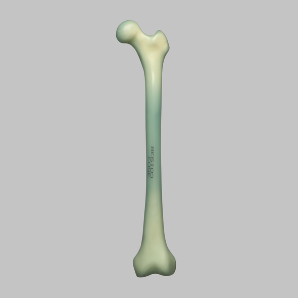 Femur, absolute™ Osteo, 10 PCF Solid Foam with 16 mm Canal, Medium