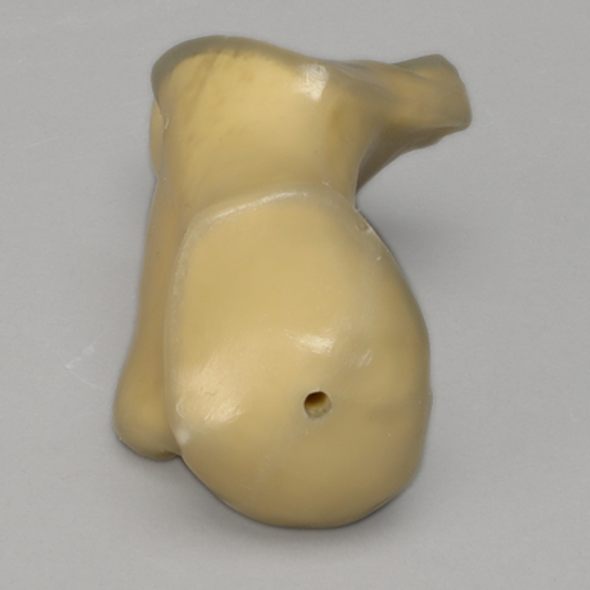 Calcaneus, absolute™ 4th Gen., 17 PCF Solid Foam Core, Large