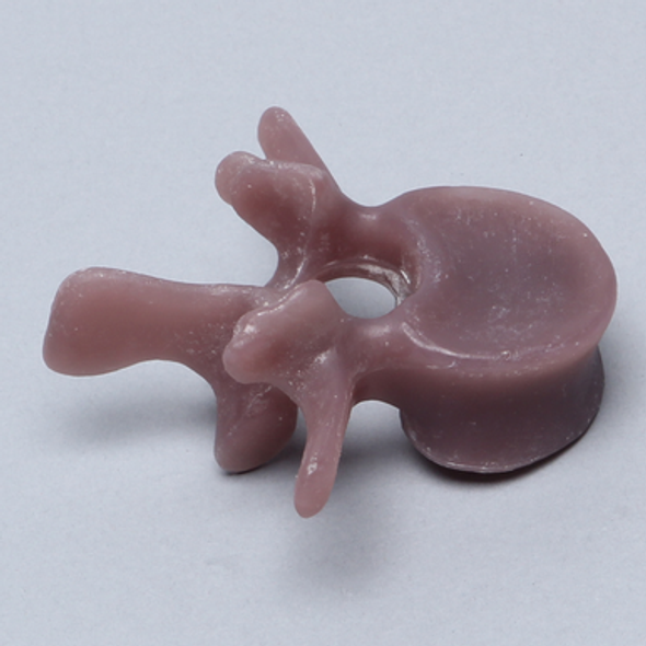 Lumbar L2, absolute™ 4th Gen., Large