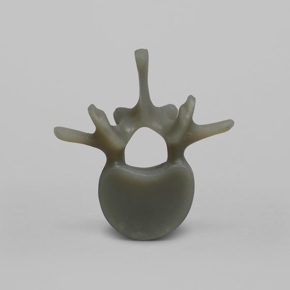 Lumbar L1, absolute™ 4th Gen., Large