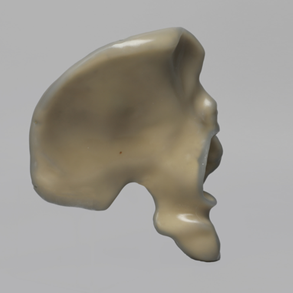 Hemi Pelvis, absolute™ 4th Gen., Composite, 17 PCF Solid Foam Core, Left