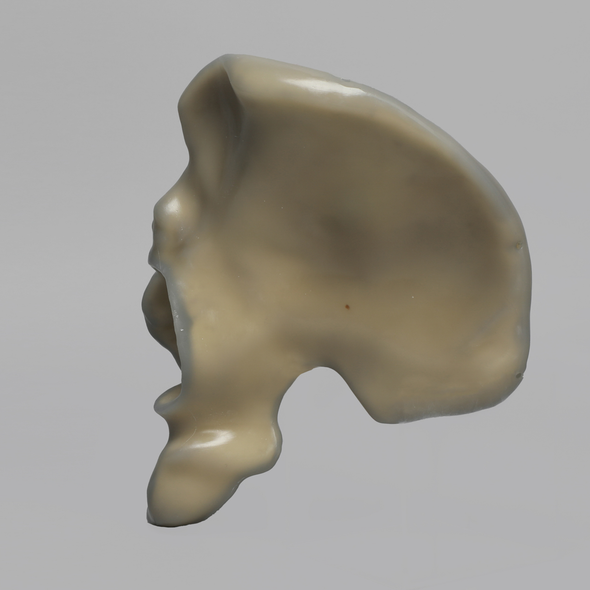 Hemi Pelvis, absolute™ 4th Gen., Composite, 17 PCF Solid Foam Core, Left