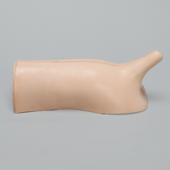 Canine Backline with Lumbar Spine