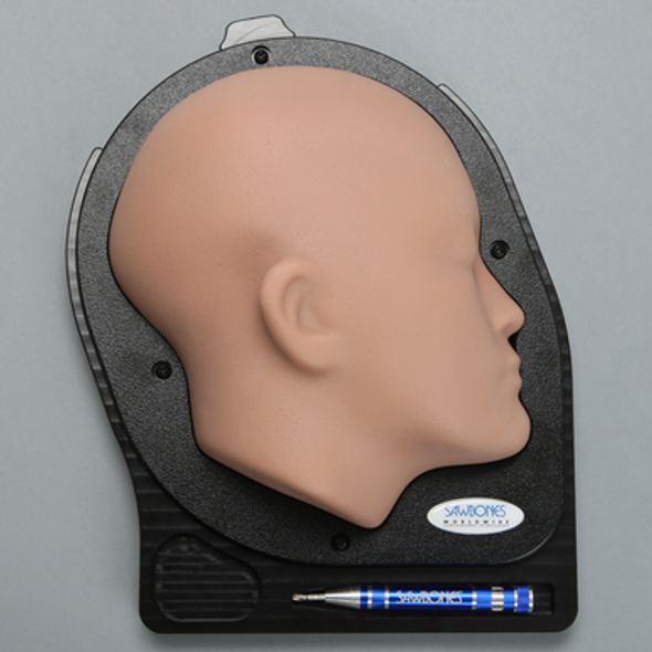 Cranial Access Fluoroscopy Model