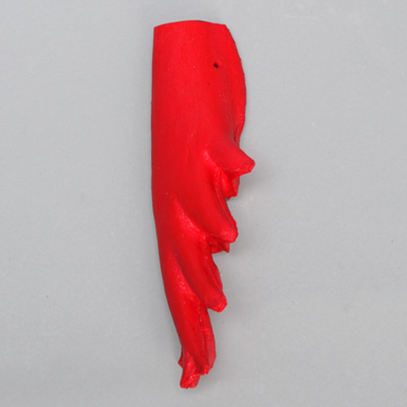 Psoas Muscle, Replacement for #1703-59-11