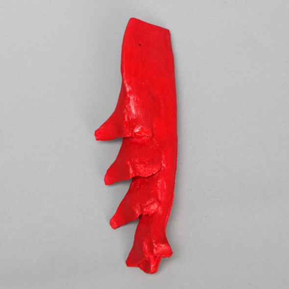 Psoas Muscle, Replacement for #1703-59-11