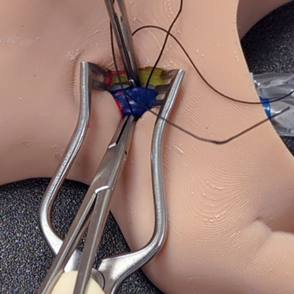 RediStik Neonatal ECMO Cannulation Trainer