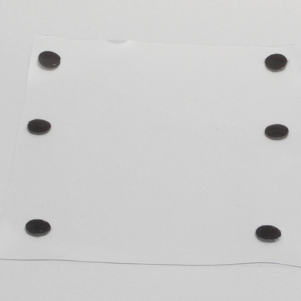 Replaceable Clear Cover for Spine Holder #1524-11
