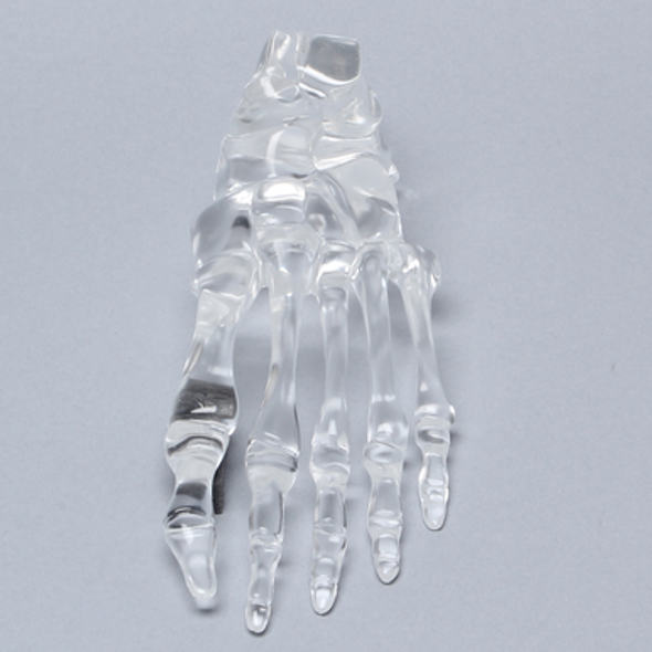 Foot, Solid Clear Plastic